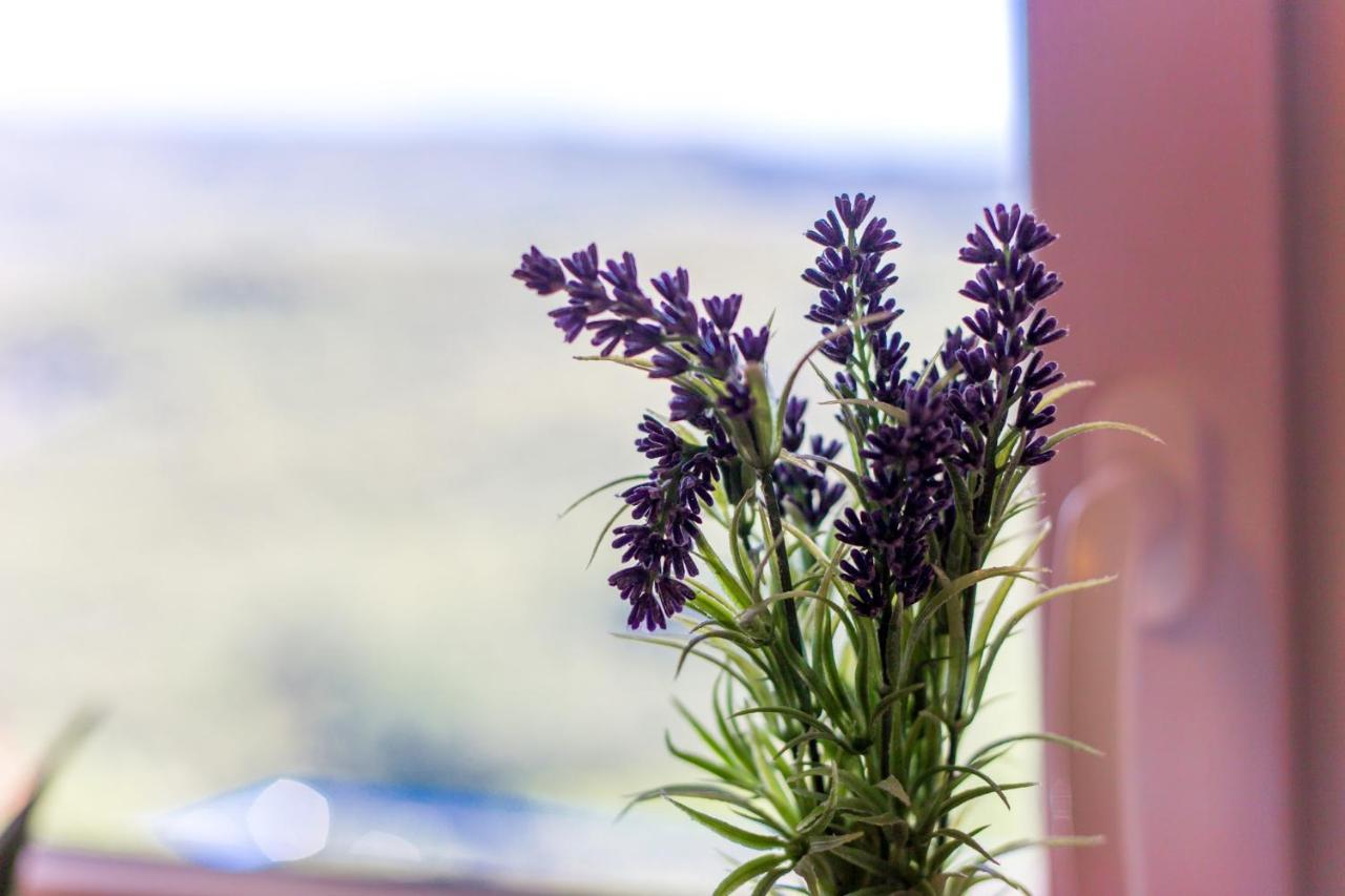 Apartman Aqua-Juric Crikvenica Buitenkant foto